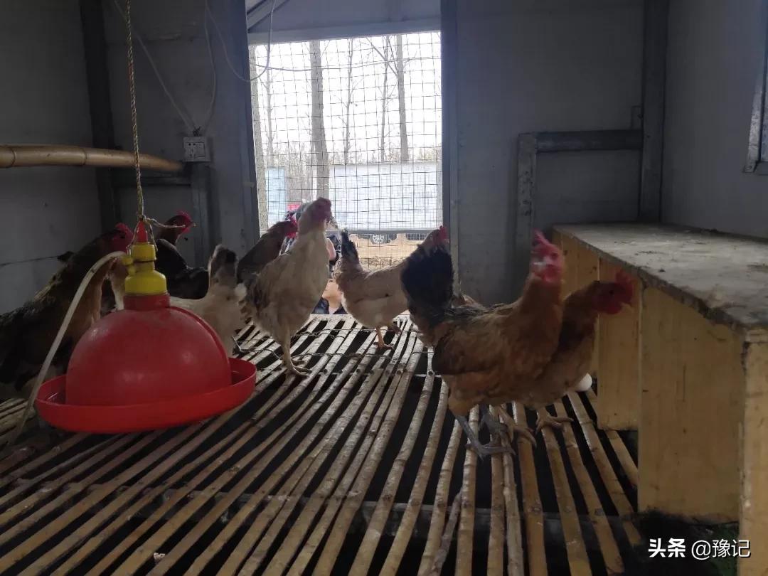 民权不能办房产证的小区,民权不让骑三轮车四轮车了吗