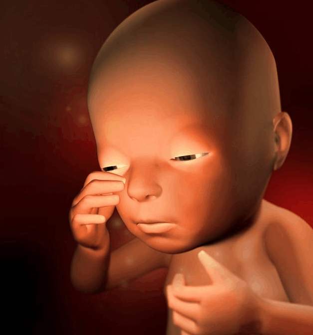 孕妈妈在睡觉时胎宝宝会动吗,孕妇工作时胎儿能睡觉吗