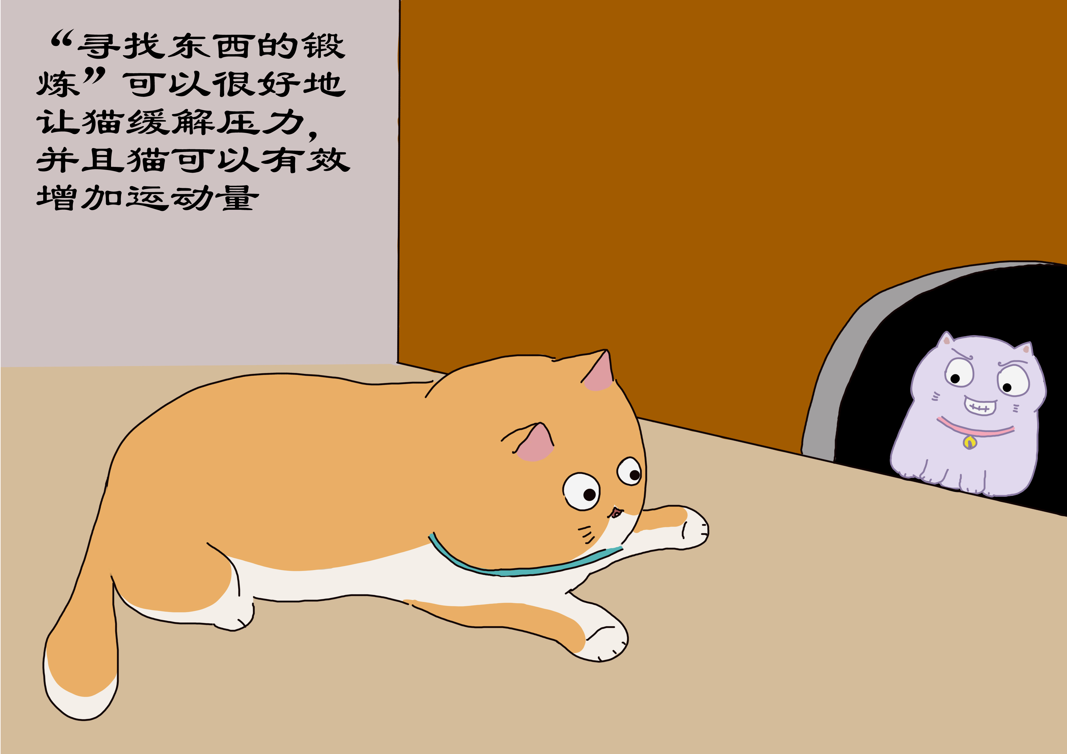 铲屎官宅在家,铲屎官如何照顾猫崽