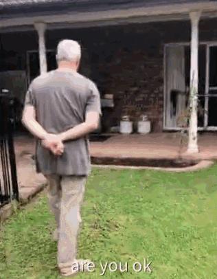 中国丈母娘把女婿花园改造成菜园,中国丈母娘改花园