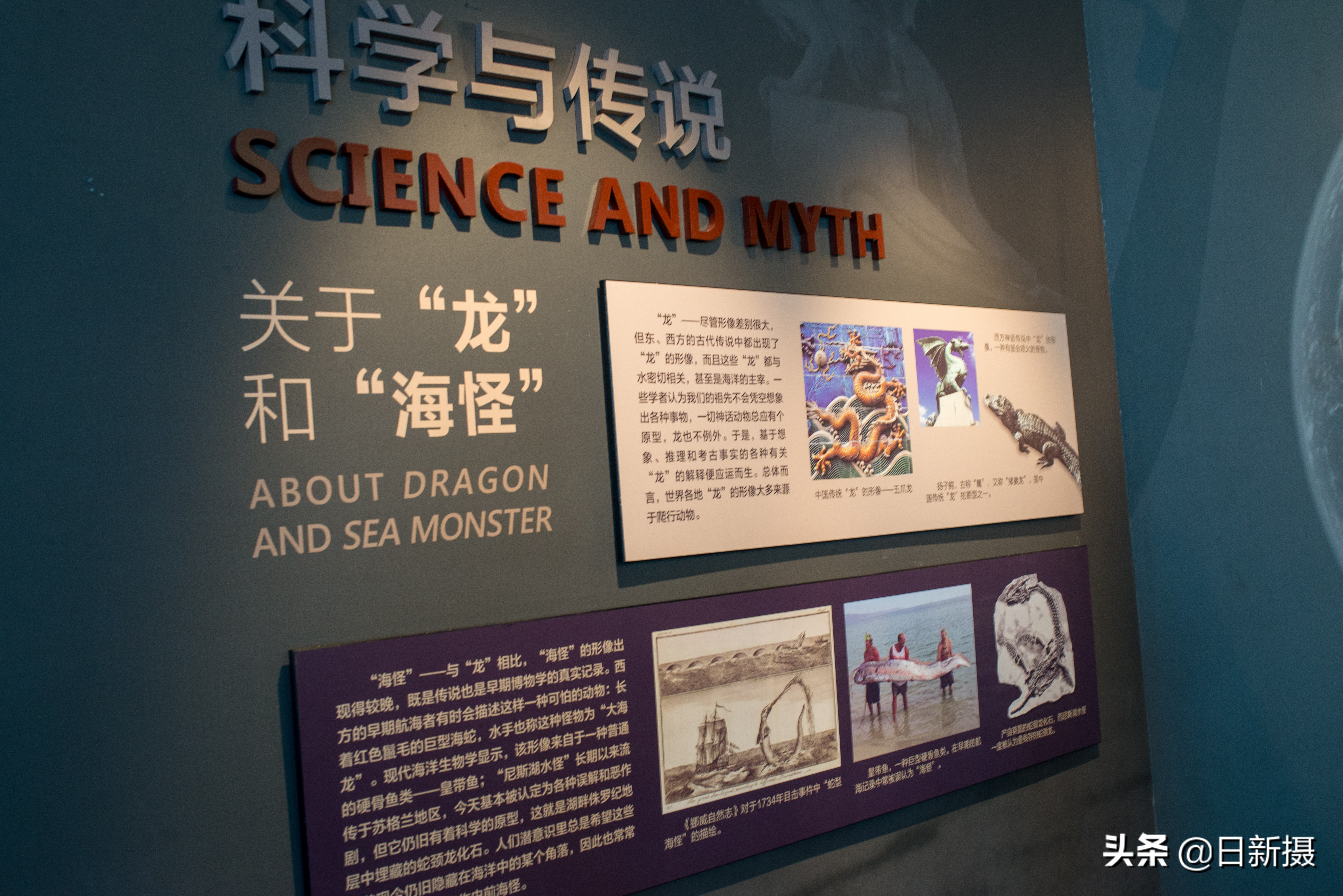 国家海洋博物馆之行,国家海洋博物馆蓝色海洋体验馆