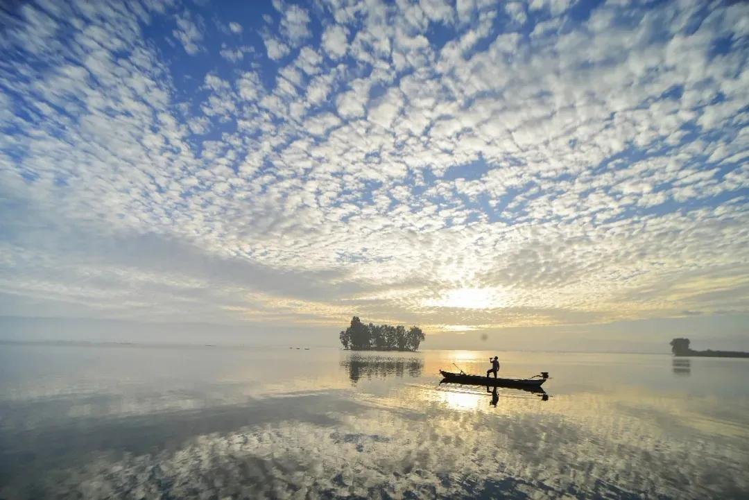 出门随处见绿，身边处处成景！看个旧如何实现“转型逆袭”→