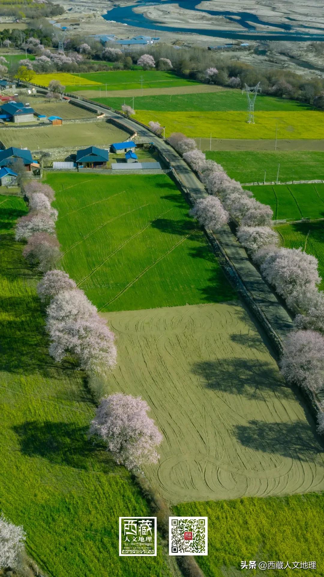 又仙气又美丽的壁纸,适合春日的绝美壁纸