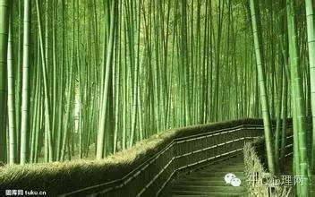 通俗易懂的规律,14个简单的定律