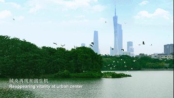 海珠湿地一期,海珠湿地公园走完要多久