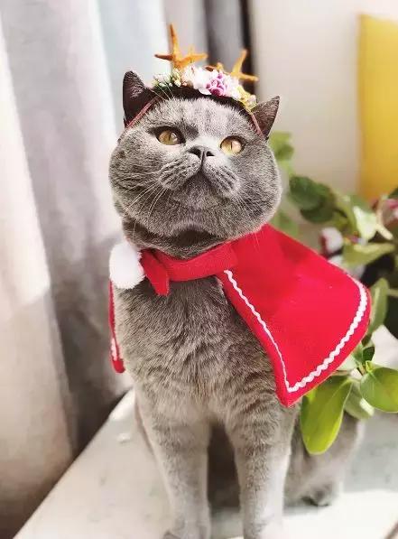 盘它!2018年度爱用物都在这了!