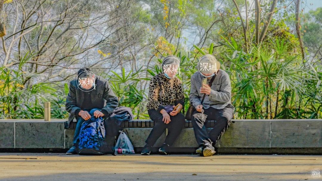 莲花山绿了没,莲花山红色景点有哪些