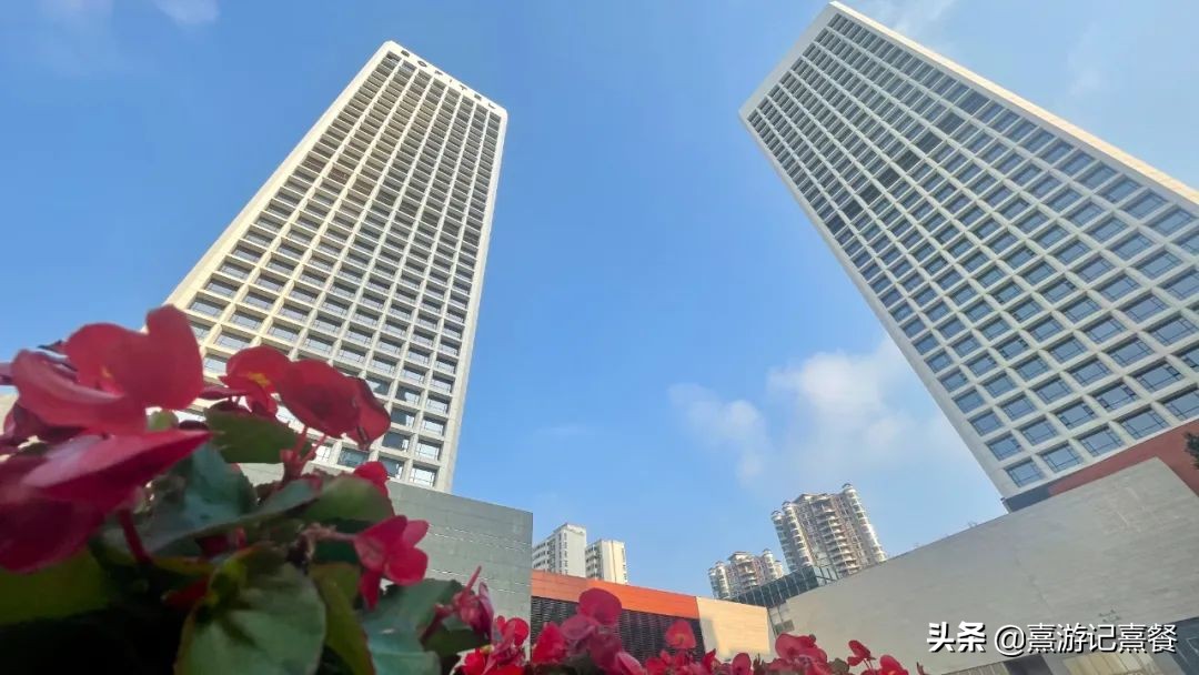 海口索菲特,海口索菲特多少钱