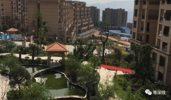 张家慧落马:百亿院长夫妇敛财“法术”初探