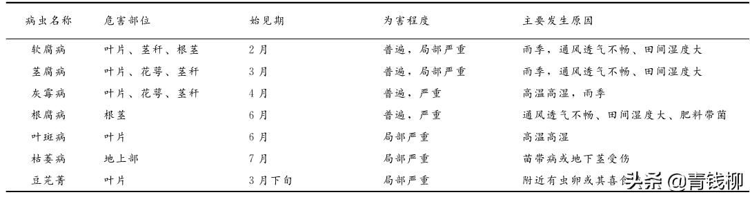 七叶一枝花主要病虫害,七叶一枝花病虫害的管理