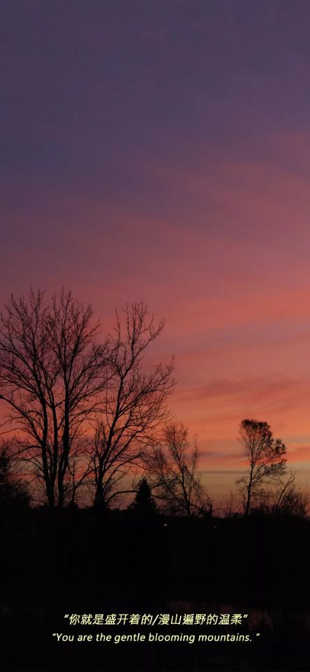 安卓手机无水印保存抖音视频,怎样无水印的保存自己的抖音视频