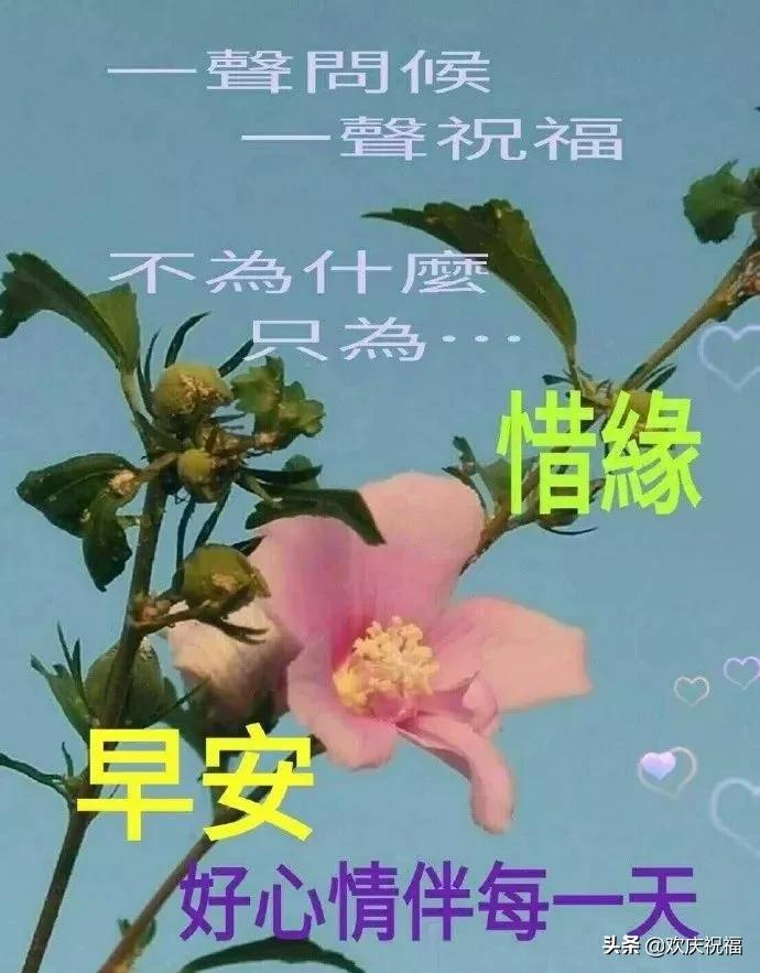 早晨问候语早上好祝福语,最新的早上好问候祝福语图