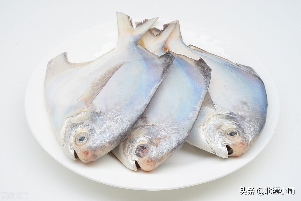 有哪些野生海鱼不能人工养殖的,市面上哪种海鱼纯野生不能养殖的