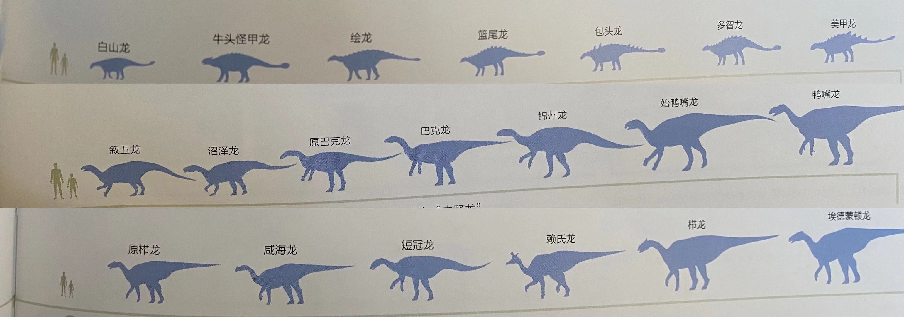 恐龙小知识书,恐龙探秘儿童恐龙百科全书