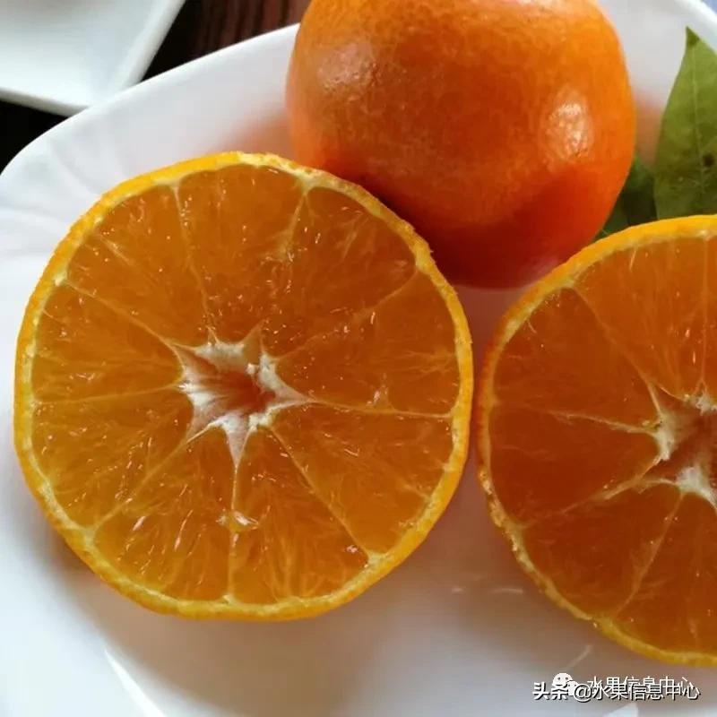 我国柑橘产区分布,柑橘产地行情