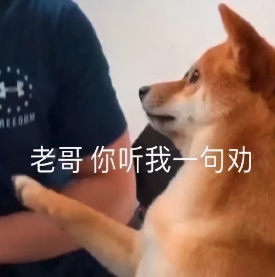 B站的土法挖矿，马斯克学了都说好