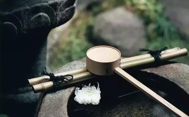 看腻了性冷淡的极简风,清冷系和性冷淡风