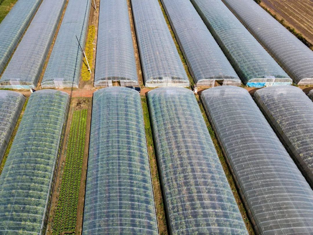 灏忕Н鍒嗗ぇ鑳介噺,灏忕Н鍒嗘縺娲诲ぇ鑳介噺