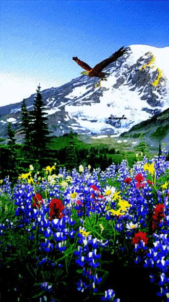 这是我见过最美丽的风景用英语,这是我见过最美的风景啥意思