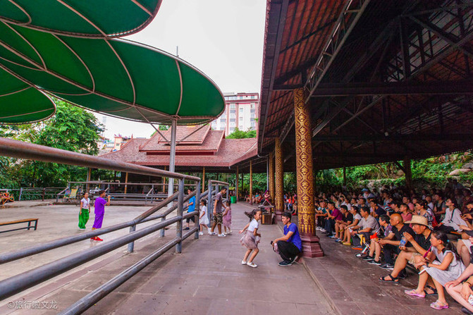 西双版纳曼听公园看大象,西双版纳曼听公园大象体重