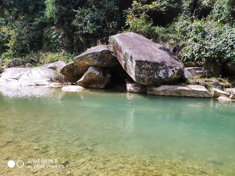 物是人非事事休,物是人非事事休完整版