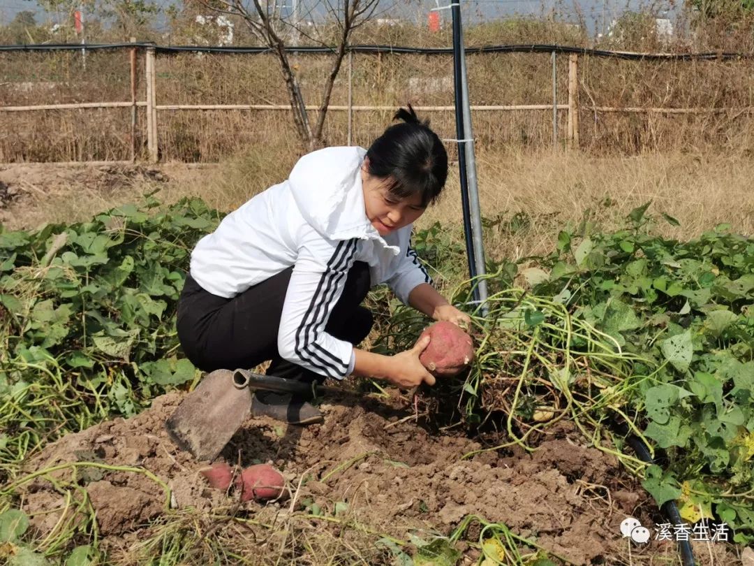 西溪南古村落惬意慢生活,徽州西溪南生活