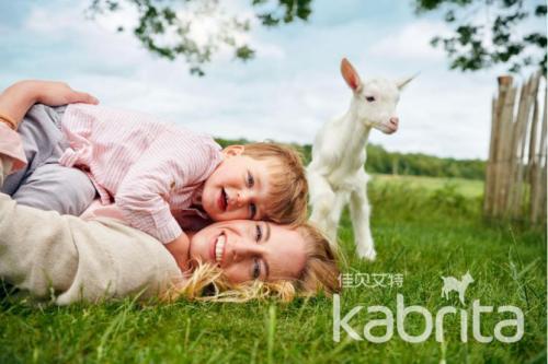 羊奶排名第一名佳贝艾特,瑞康羊奶与佳贝艾特羊奶哪个好