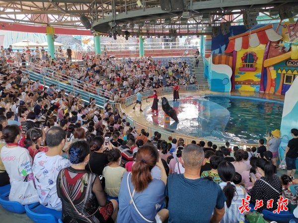 武汉景点年卡有什么优惠政策,旅游年卡如何预约景区