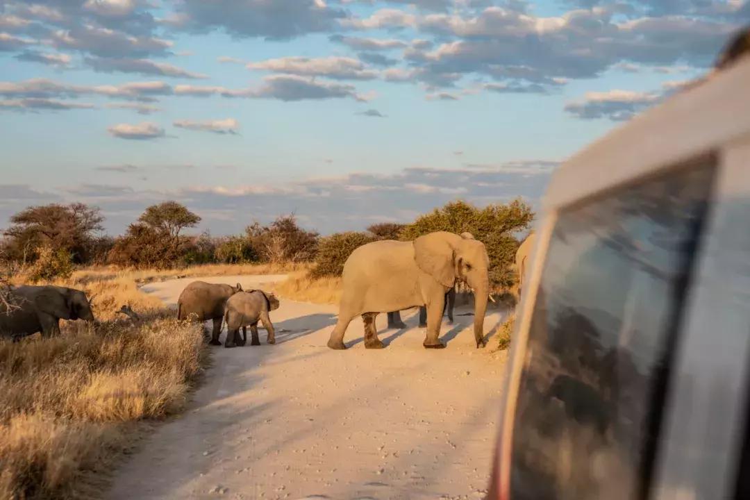 从上海到南非，JourneyNeverEnds