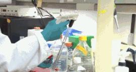 深圳30多人得艾滋,5个男孩感染艾滋