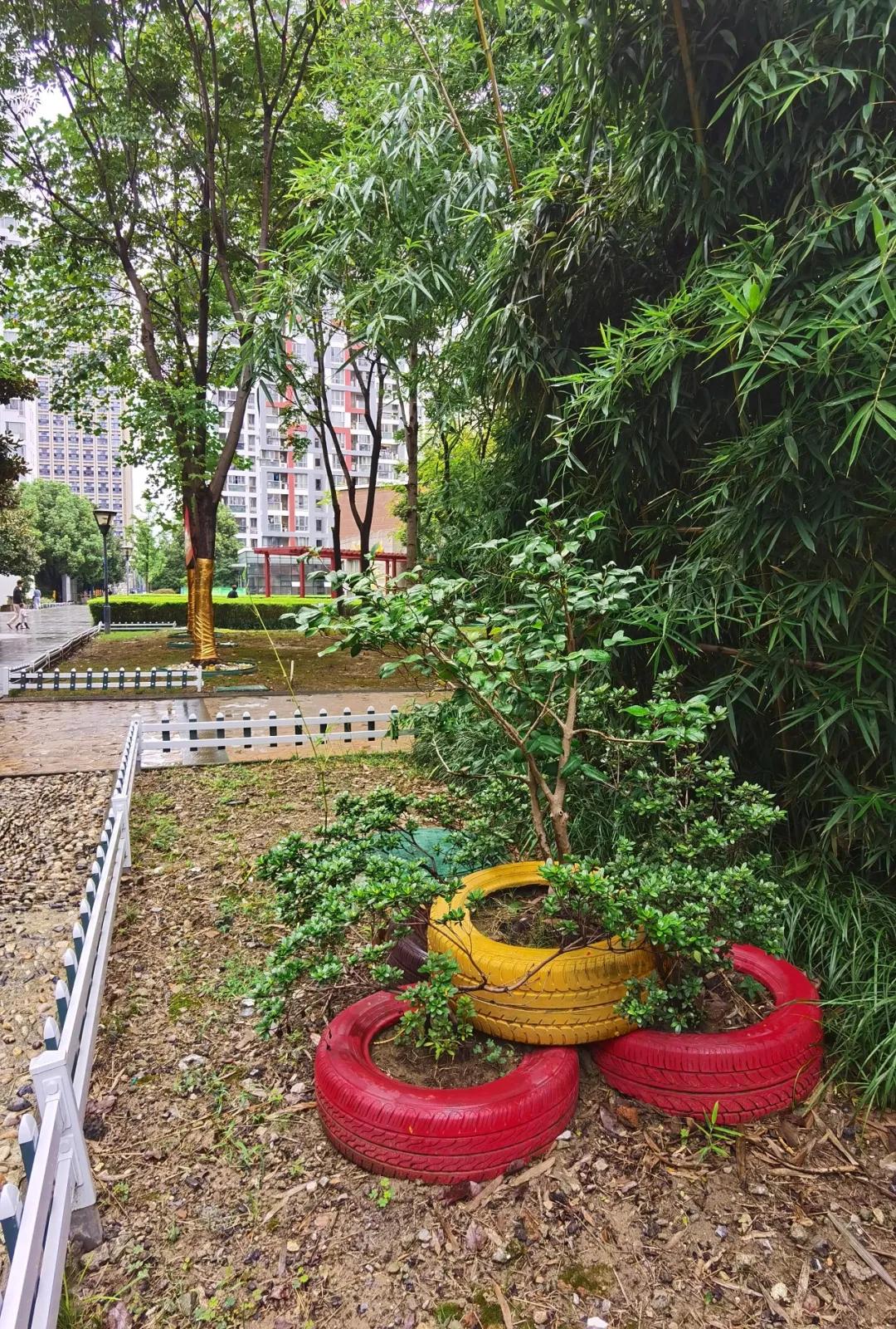 今天，我要好好夸下无锡这个学区房的物业