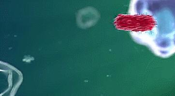 不留痕的不锈钢菜板,不锈钢整块菜板