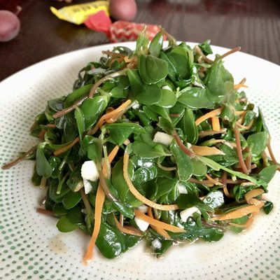 农村有一物是痔疮的克星,治痔疮的野菜有哪些