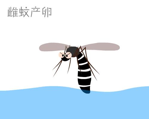 防蚊灭蚊详细方案,防蚊灭蚊最新视频