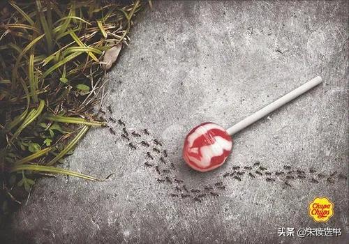 全棉时代广告完整视频,全棉时代广告搞笑视频