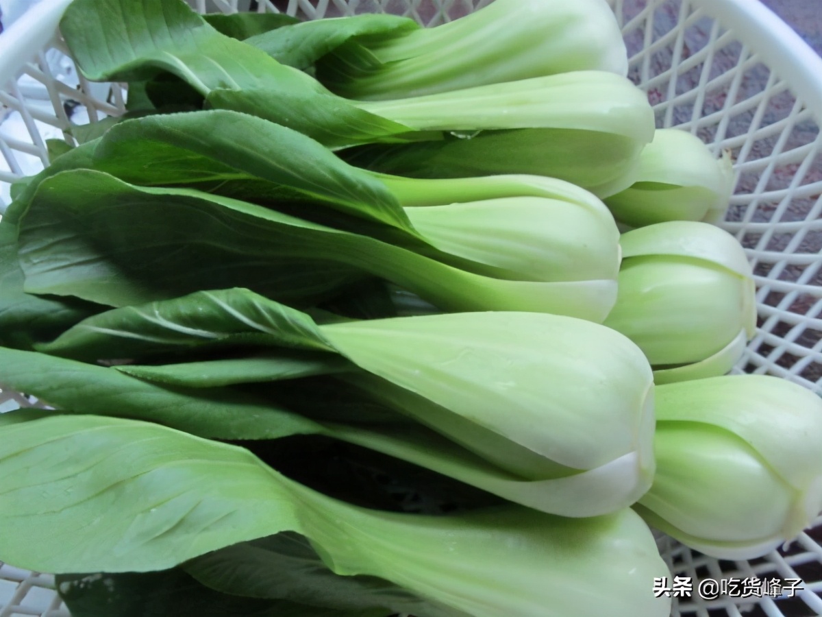 不管什么青菜简单好做又好吃,不管什么菜怎么烧才好吃