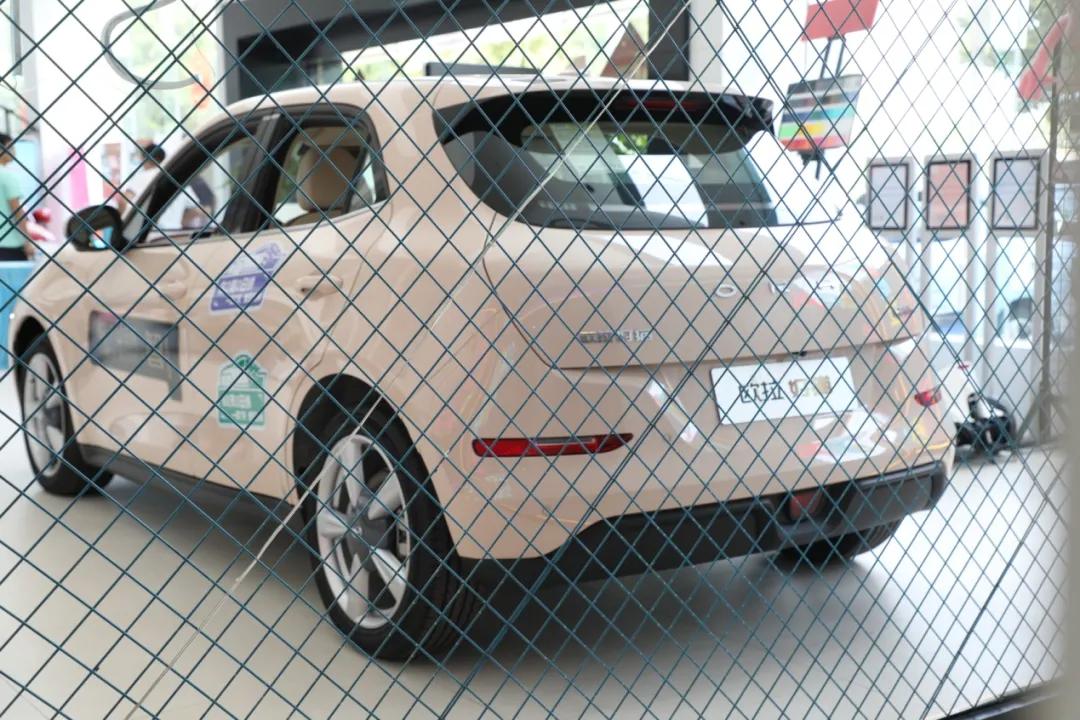 “七夕节”快到了送啥玫瑰不如送“欧拉好猫”吧