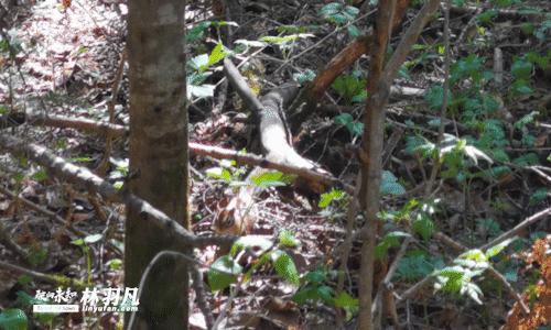 自驾游长白山天池,自驾去长白山天池怎么买门票