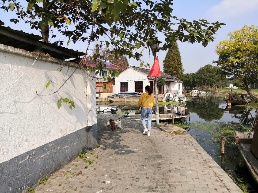 莲花岛一日游的心情感悟,阳澄湖莲花岛邂逅小院