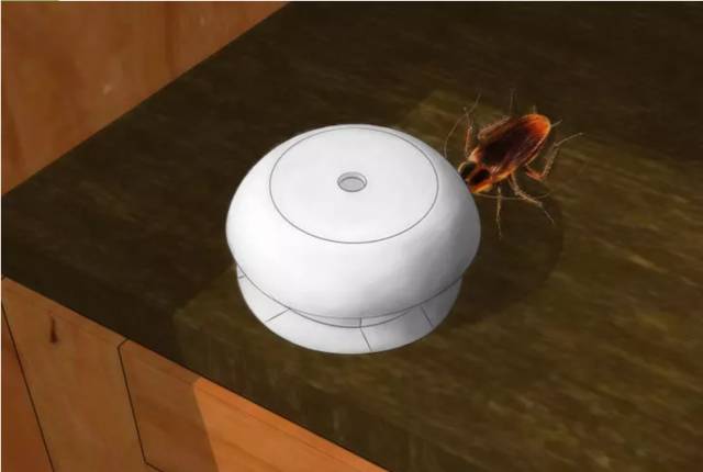 灭蟑螂最好的方法最快的,灭蟑螂最好的方法最有效