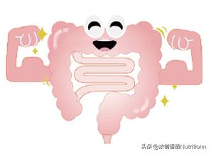 过量补益生菌对婴儿的危害,滥用抗生素肠道菌群紊乱会便秘吗