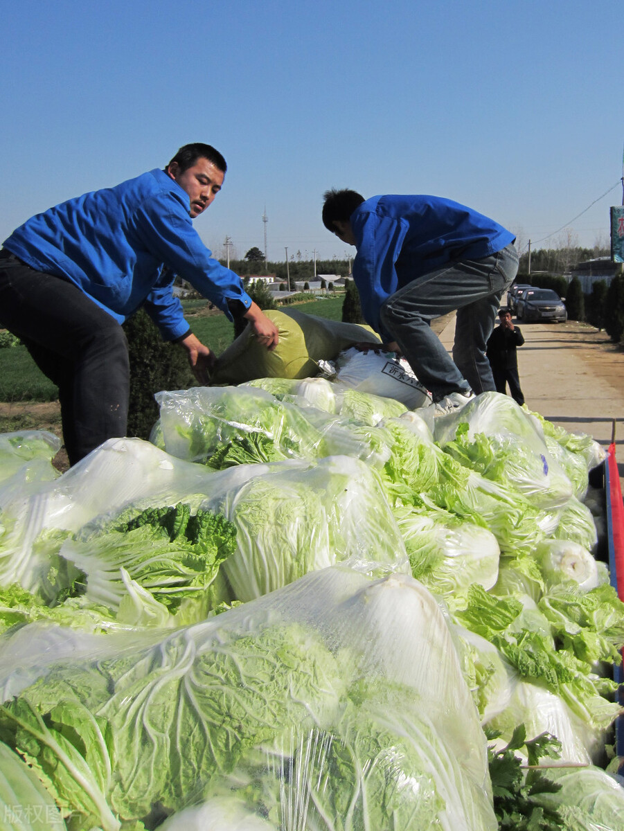 装卸工跟车送货一天300,跟车装卸工一天400靠谱吗