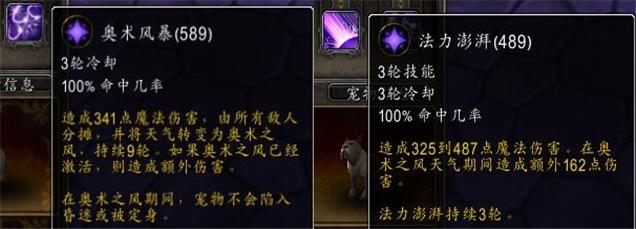 魔兽世界宠物对战字符串怎么用,魔兽世界黑石深渊宠物对战攻略