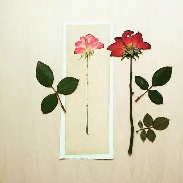 最新最经典的个性签名,简短精湛,深入人心!