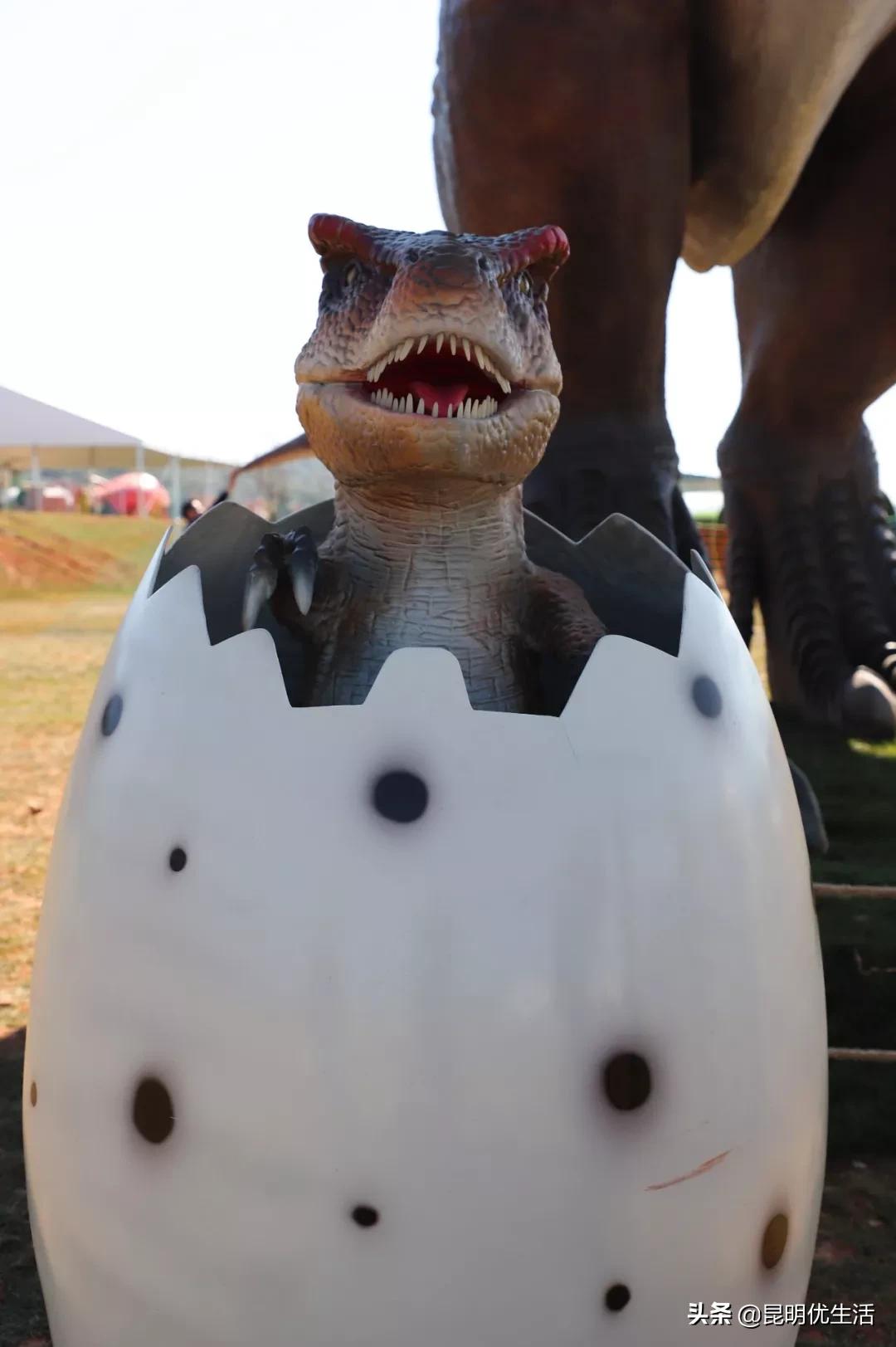 昆明周边亲子游乐场,昆明大型亲子乐园