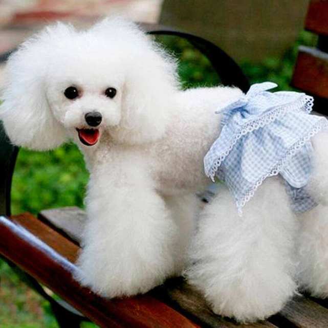 公狗与母狗有什么区别,公狗跟母狗有什么区别吗