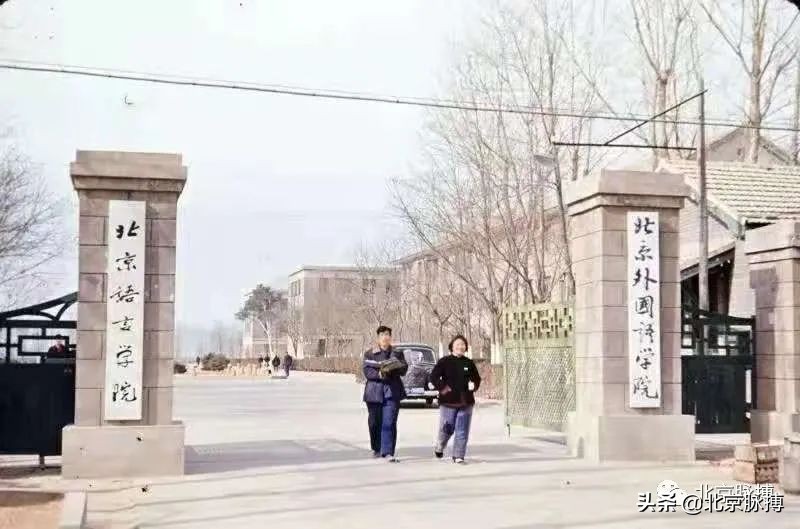 记忆中的北京绘画,这些画最能还原真实的老北京