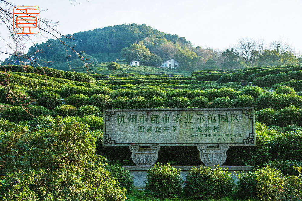 中暑了有什么解暑的方法,在特别热的环境中暑