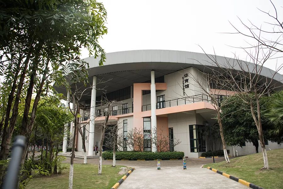 我是岭南，技工学校中的霸王“战斗机”