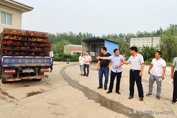 安徽阜阳市太和三塔镇,安徽阜阳市太和县三塔镇